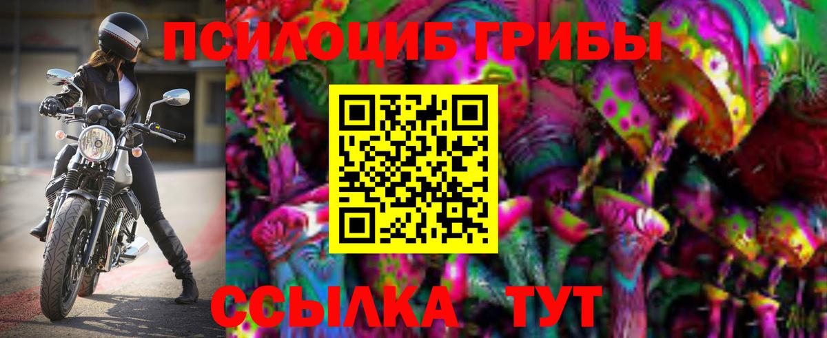 что такое наркотик  Вход с VPN  Сосновый Бор  Псилоцибиновые грибы Psilocybe 